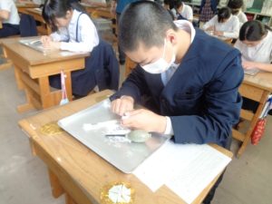 化石クリーニング体験