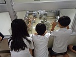 大きなお鍋だね
