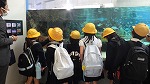 ウミガメがいたよ！